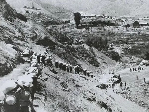 1623725846576195.jpg 3.jpg